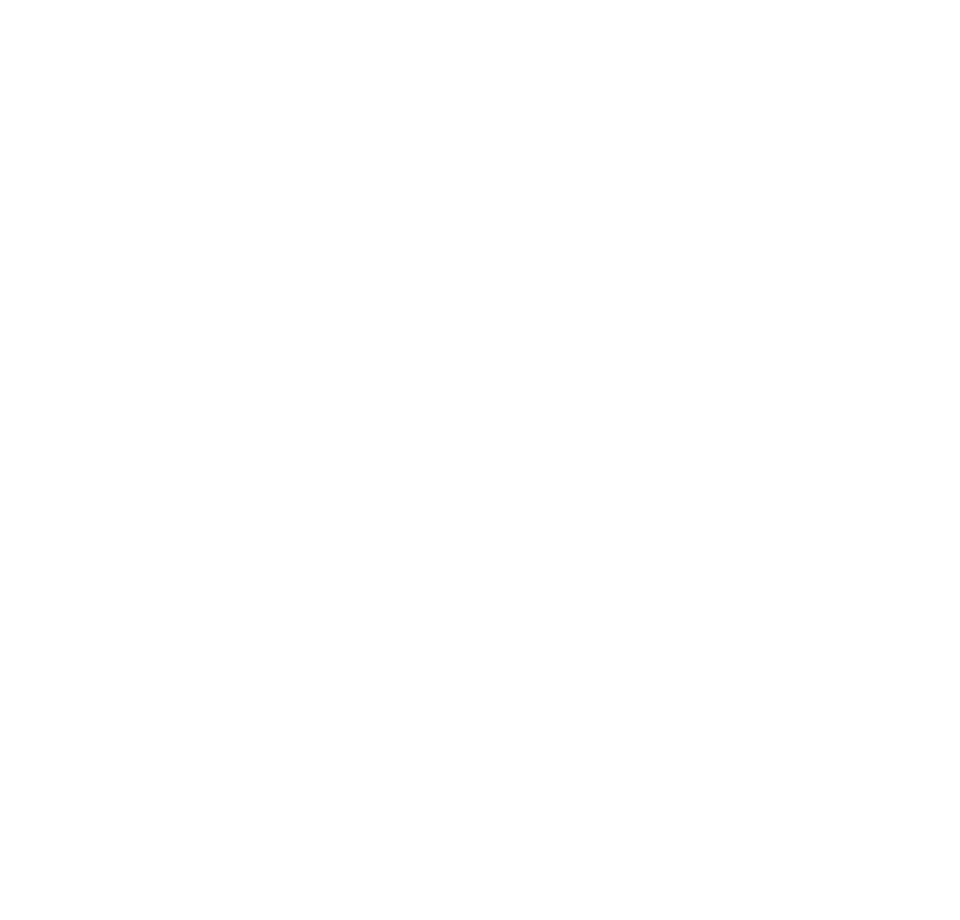 世界級青埔國家級建設